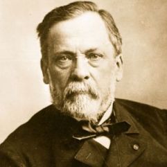 Louis Pasteur (1822 — 1895) Considerado o pai da microbiologia.